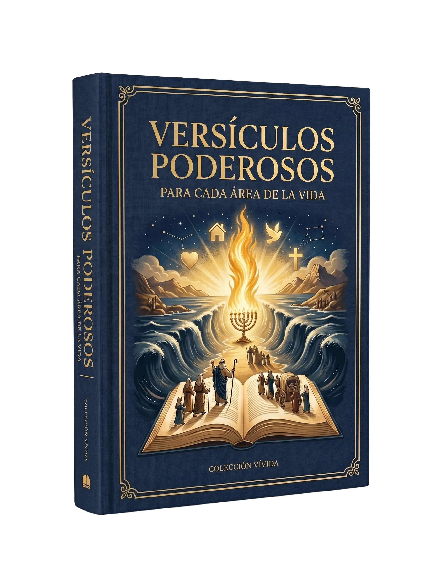 Versículos Poderosos para Cada Área de la Vida